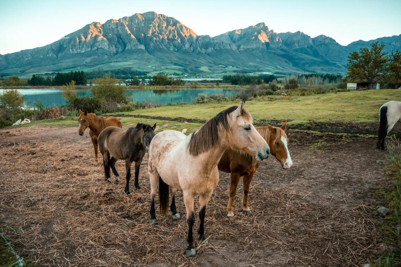 Tulbagh Boutique Heritage Hotel Экстерьер фото